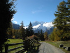 IMG 4562