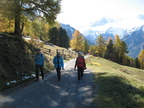 IMG 4564