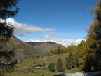 IMG 4566