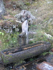 IMG 4567