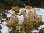 IMG 4568