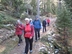 IMG 4569