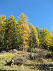 IMG 4570