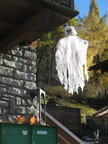 IMG 4571