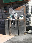 IMG 4572