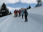 IMG 4594