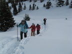IMG 4595
