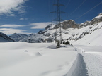 IMG 4597