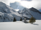 IMG 4598