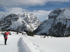 IMG 4599