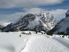 IMG 4601