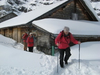 IMG 4607